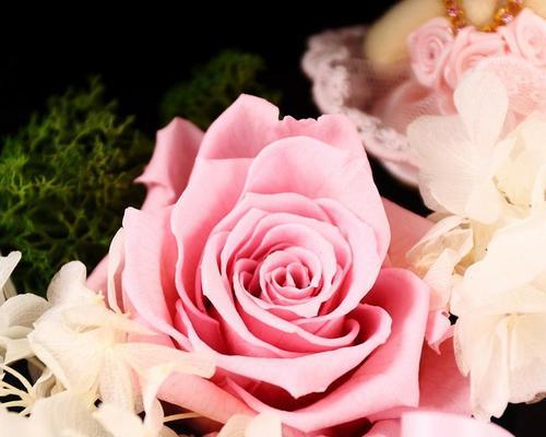 12朵玫瑰花的花语（传递爱意的花束）