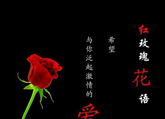 19朵玫瑰花语（用19朵玫瑰传递浪漫与真爱）