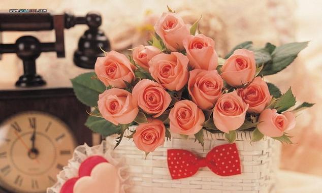 25朵玫瑰花语的深刻含义（探索玫瑰的浪漫与情感）