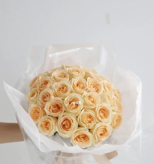 33朵香槟玫瑰的花语与意义（传递浓浓的爱意）