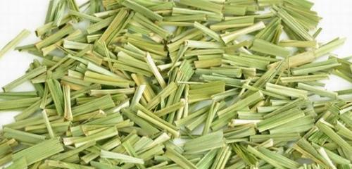 柠檬草的花语——清新香气中的祝福（柠檬草的花语及其寓意）