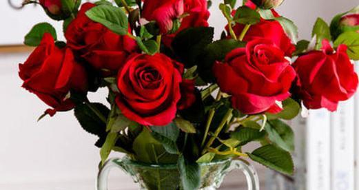 十一朵玫瑰花的象征意义（解读十一朵玫瑰花所代表的情感和含义）
