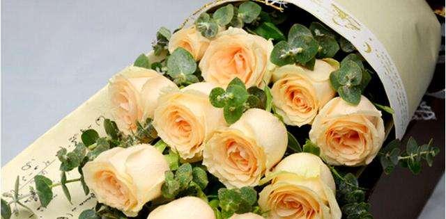 十一朵香槟玫瑰的花语——爱情的甜蜜与祝福（透露着浓浓的爱意）