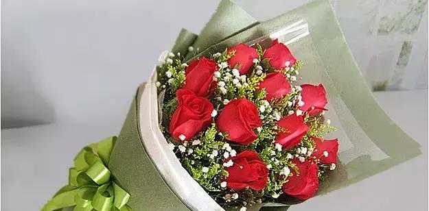 玫瑰花的寓意与花语（18朵玫瑰花的象征意义与传达信息）