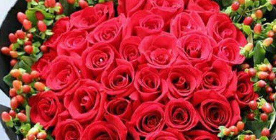 19朵红玫瑰的花语含义（红玫瑰花语的浪漫传承与深远意义）