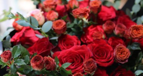 33朵玫瑰花的花语（浪漫传递）