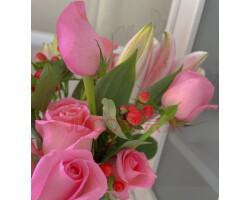 粉玫瑰花的含义与象征（表达浪漫与温柔的花语与情感）