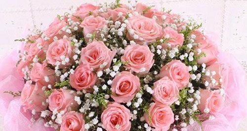 8朵粉玫瑰的花语与寓意（探究粉玫瑰花的深层内涵）
