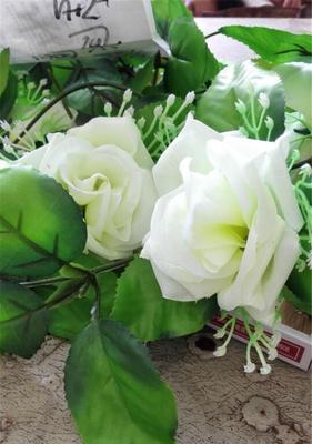 白玫瑰的代表意义（优雅）