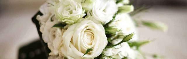 白玫瑰花语传递的爱的力量（探寻白玫瑰的花语和象征意义）