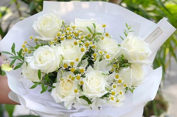 白玫瑰的美丽寓意——纯洁与爱的象征（解读白玫瑰的花语与意义）