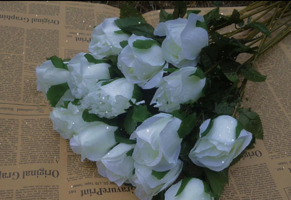 白色玫瑰花的花语与美好寓意（探索白色玫瑰花的神秘世界）