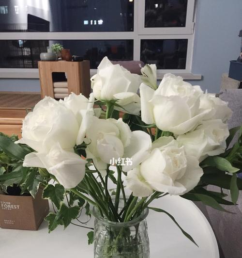 白色玫瑰花的象征意义与寓意（美丽纯洁的白色玫瑰花在心灵中的印记）