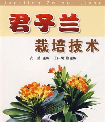 君子兰怎么栽培（君子兰栽培技术要点）