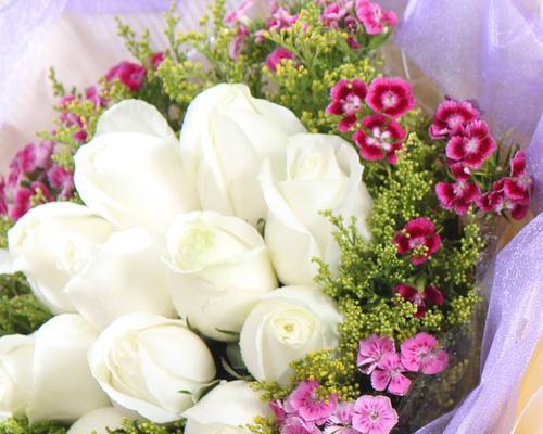 白玫瑰11朵花语的深刻内涵（探寻白玫瑰花束所传递的情感和寓意）