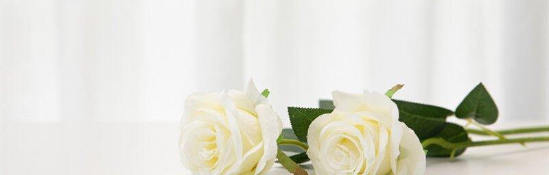 白玫瑰的代表意思——纯洁与真爱（白玫瑰）