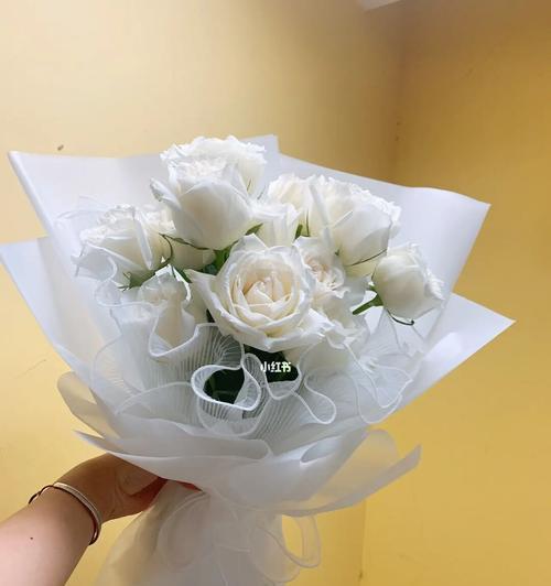 白色玫瑰花（白色玫瑰花的深层含义及其在不同文化中的解读）