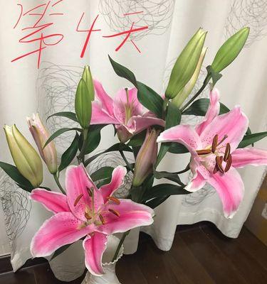 百合花的象征意义与寓意（揭示百合花的五种象征意义及文化内涵）