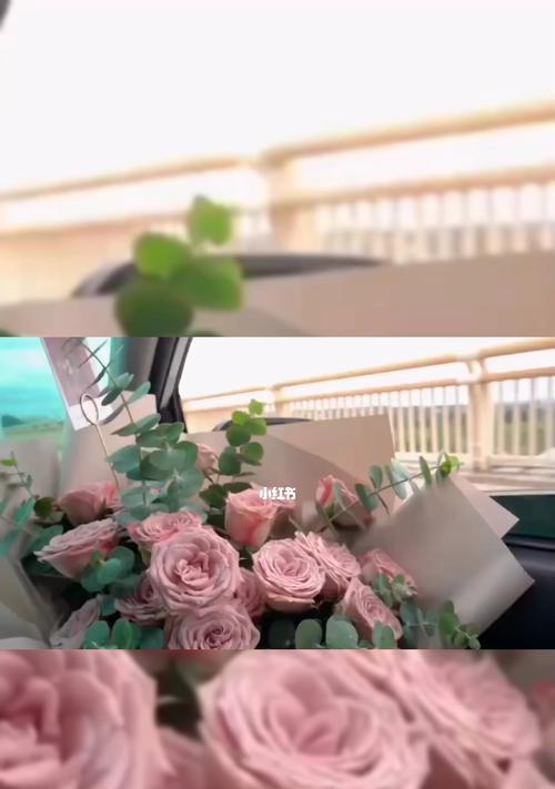 以百合花的花语为主题的文章（平安喜乐之花-百合的花语传达祝福）