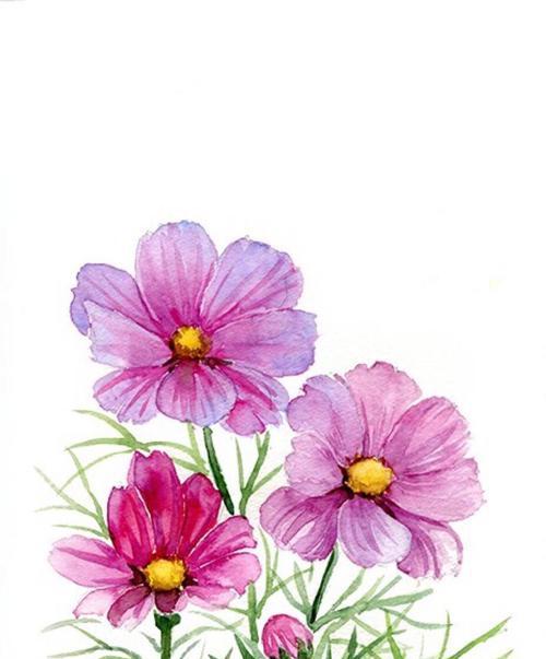 以百合花为主题的失望花语（揭示百合花的花语与失望之间的奥秘）