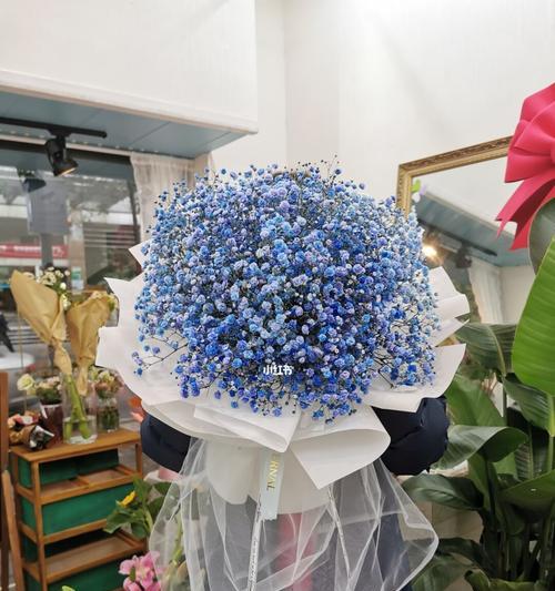 《花开花落间，恬静之美——以粉满天星和蓝满天星花语为主题》（漫步花海中的心灵慰藉）