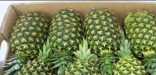 如何挑选好吃的凤梨（掌握5种技巧）