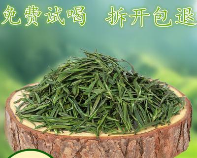探寻毛尖茶的故乡——中国安徽省（从产地到品鉴）