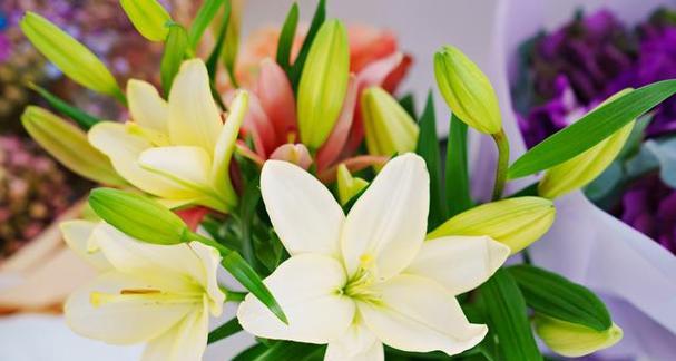 送女朋友百合花的意义及象征（用百合花传达深情）