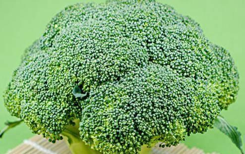 以西兰花花语与寓意（揭示美味蔬菜背后的隐含信息）