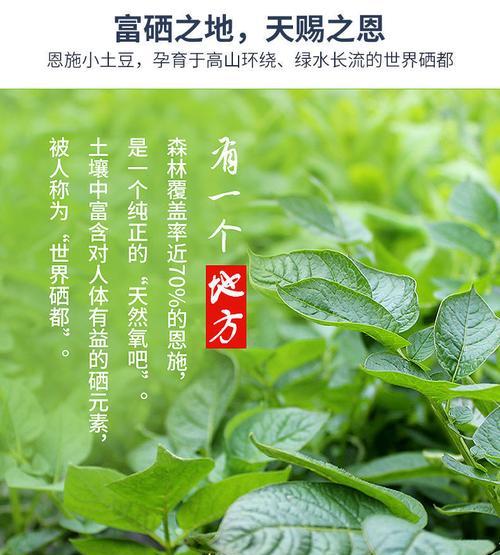 探秘土豆的奇妙世界（从样子到特点）
