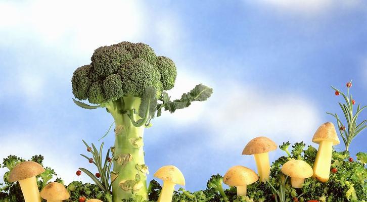 以西兰花的花语与意义（解读以西兰花的神秘语言）