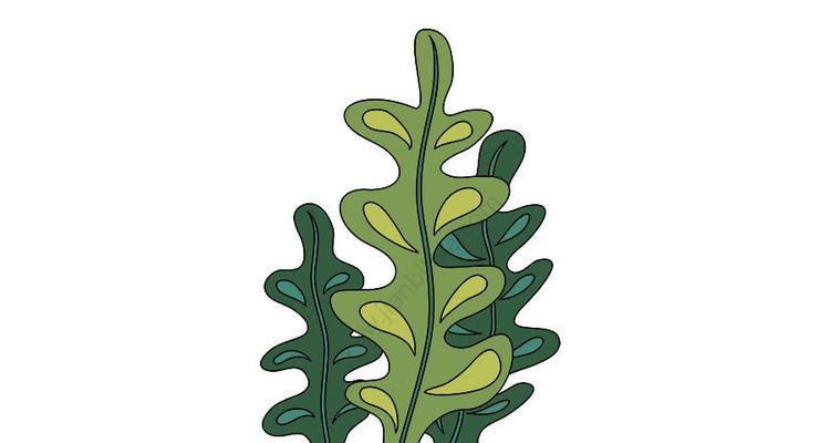 探秘海藻世界（了解海藻的特点和应用）