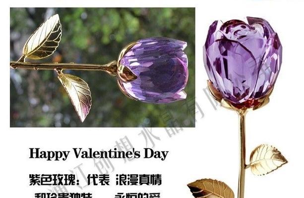 金玫瑰花语的深意与象征（揭开金玫瑰所承载的情感和意义）