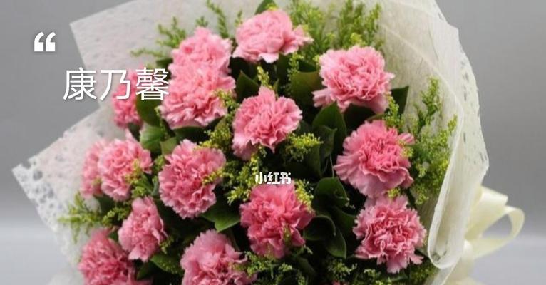 康乃馨花的寓意是什么（揭秘康乃馨的象征意义与文化内涵）