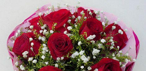 牵牛花（自由）