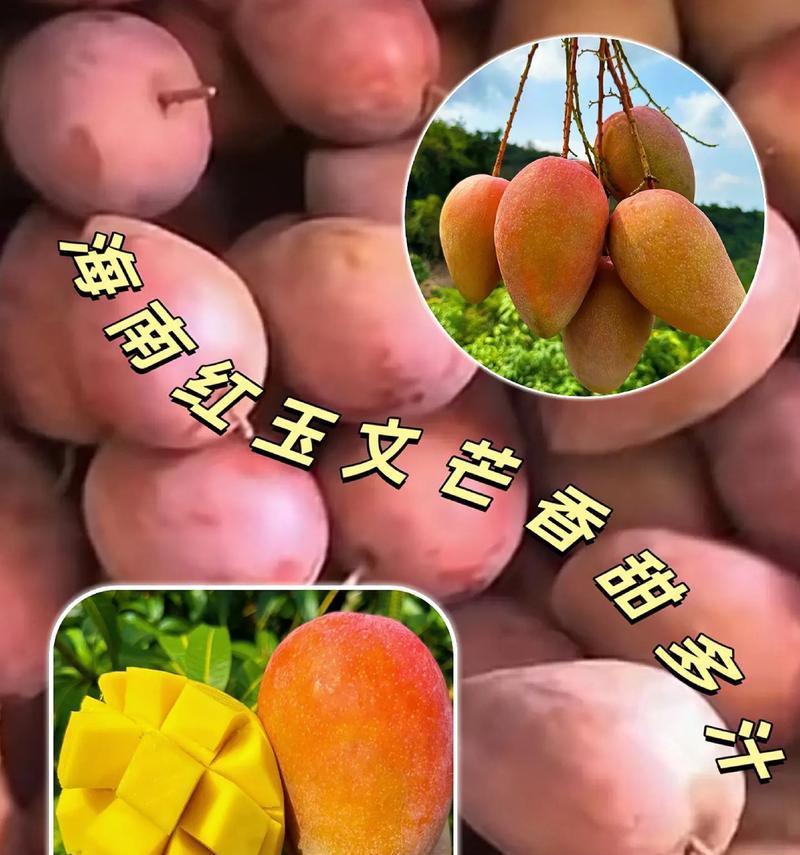 芒果树喜阳还是喜阴（探讨芒果树的生长特点）