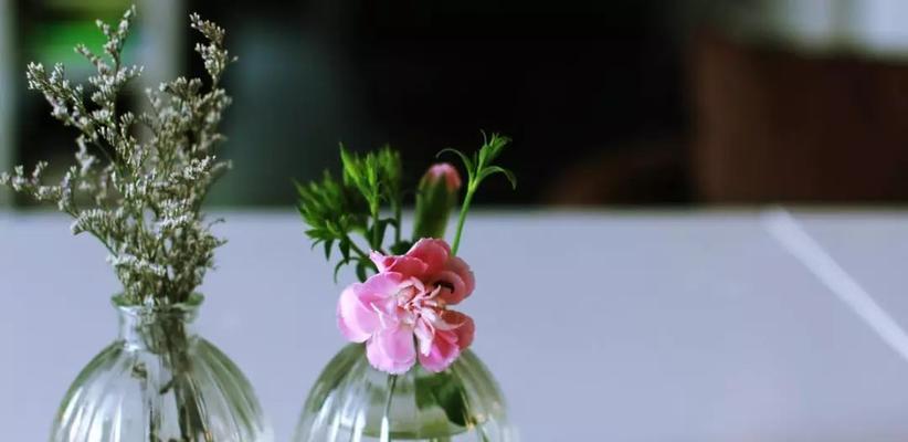 自律之花（用花语寻找自律的力量）