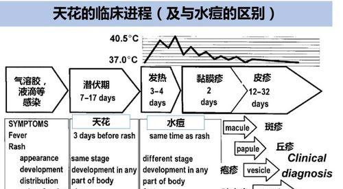 四季豆炭疽病的预防与治疗（了解病因）