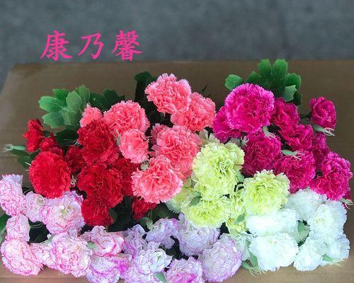 康乃馨的美丽传递着深刻的意义（用康乃馨诉说生活的美好与坎坷）