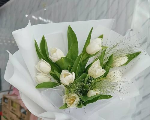 白色郁金香的纯洁之美（白色郁金香花语与寓意解析）