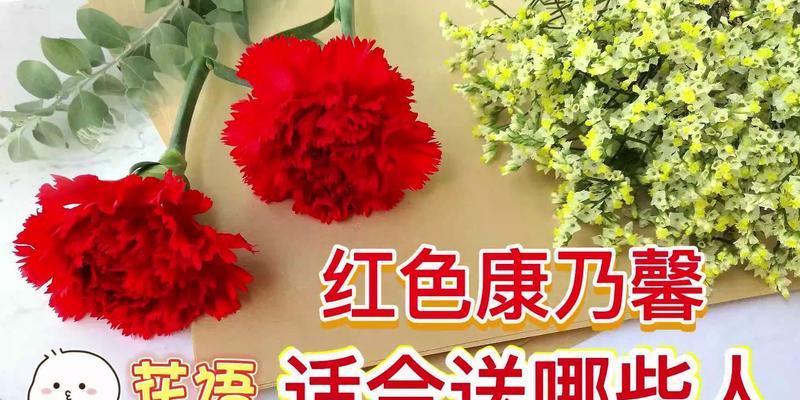 大红色康乃馨的花语——热情与爱情的象征（大红色康乃馨传递的深情款款）