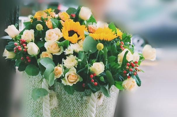 友情之花——以百合花为象征的真挚友谊（友情的力量）