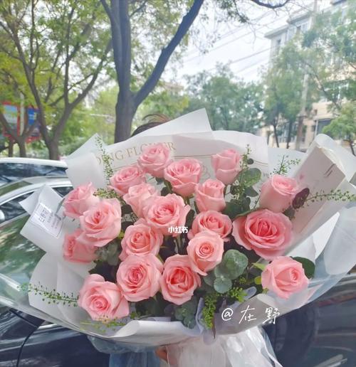 戴安娜玫瑰花语（探索戴安娜玫瑰的花语及其深远意义）