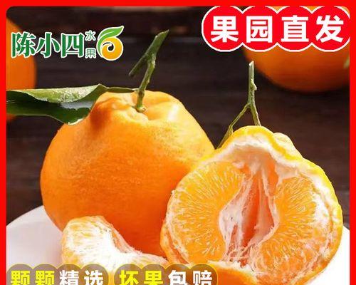 寻味中国特产——丑八怪（揭秘丑八怪的产地）
