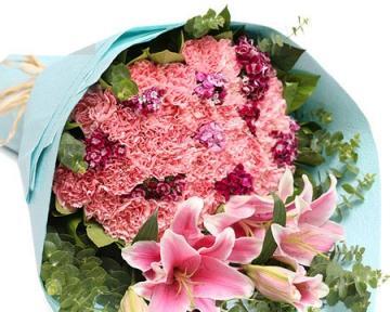 粉色康乃馨的花语（康乃馨的花语与传统含义）