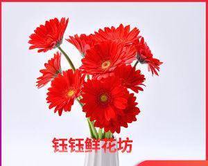 以扶郎寓意（探索“以扶郎寓意”的教育意义与启示）