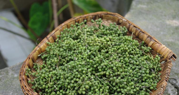 花椒果实是木本植物的表现形态（探究花椒木本植物的性质及特征）