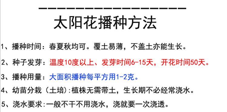 如何种植花椒树种子（详细介绍花椒树种子的种植方法）