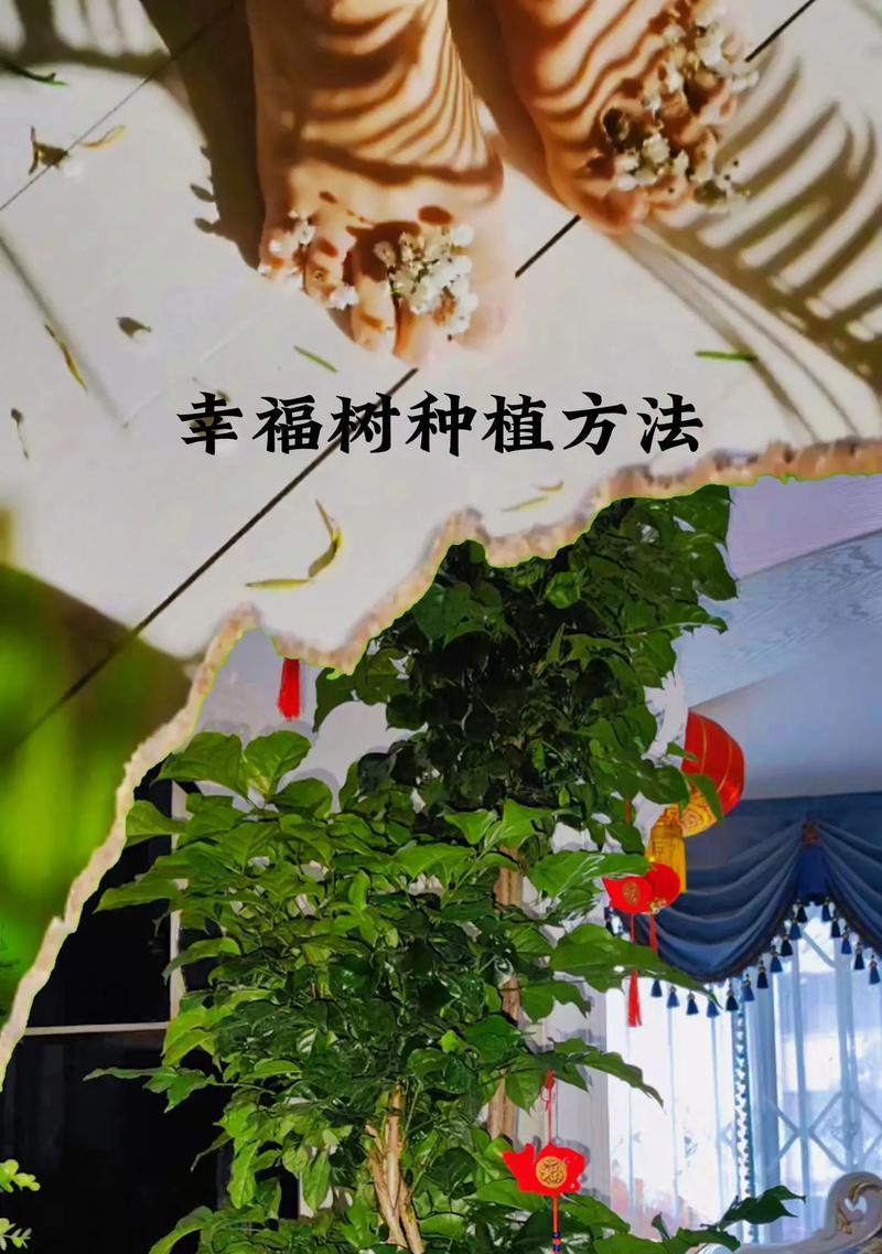 如何养护玫瑰海棠（玫瑰海棠养殖方法和注意事项详解）