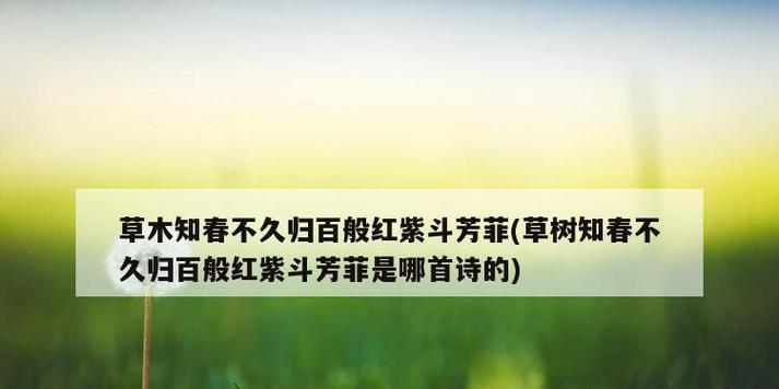 榆树花语与寓意——春天的希望与坚韧（以榆树为象征）